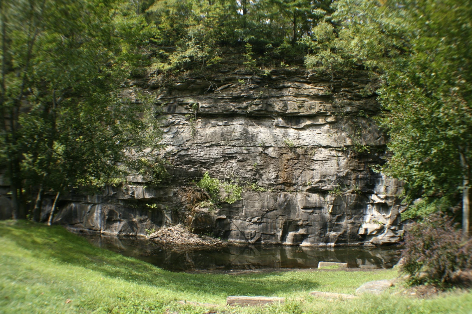 An image depicting the trail Panhandle Trail and its surrounding area.