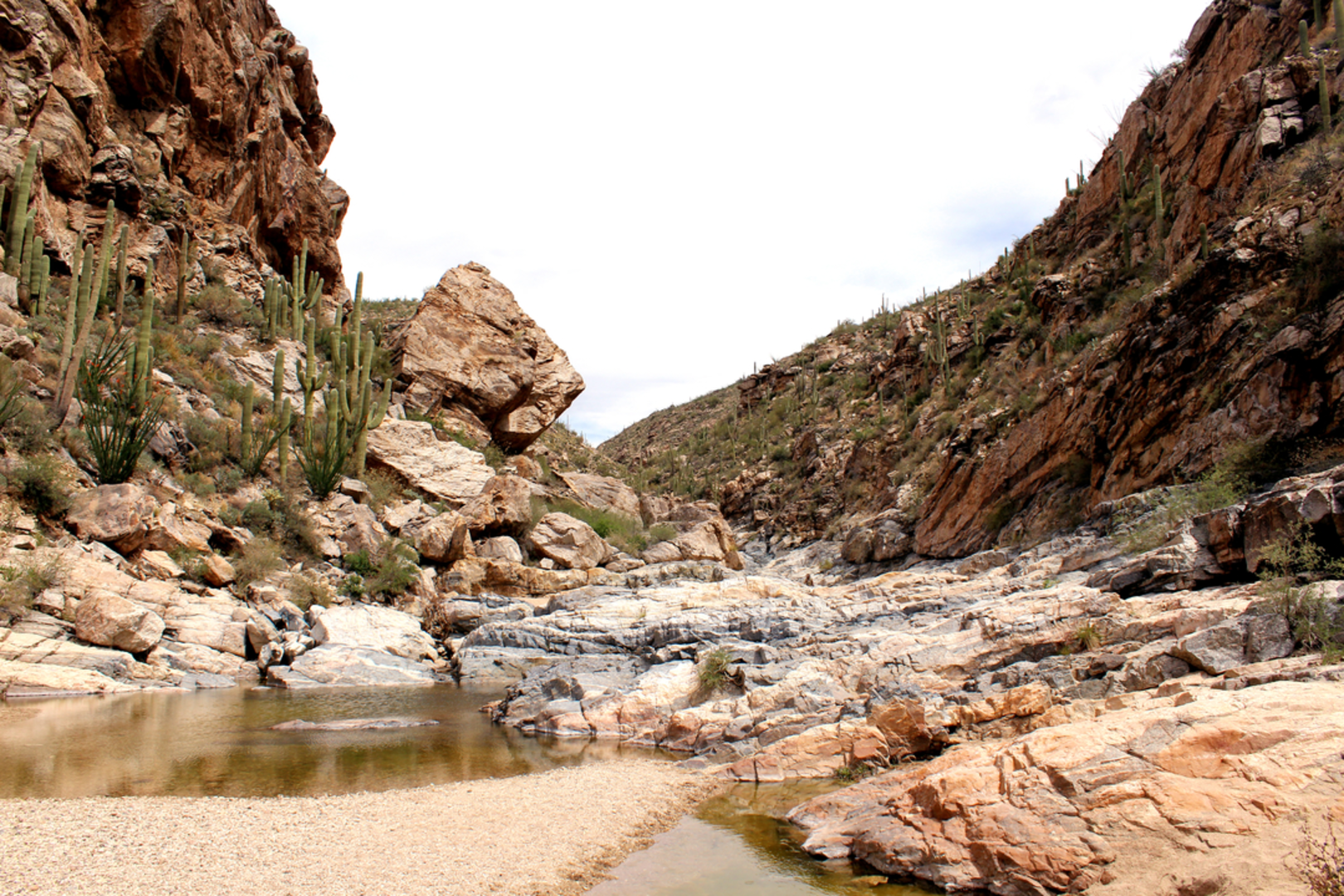 An image depicting the trail Tanque Verde Falls Trail and its surrounding area.