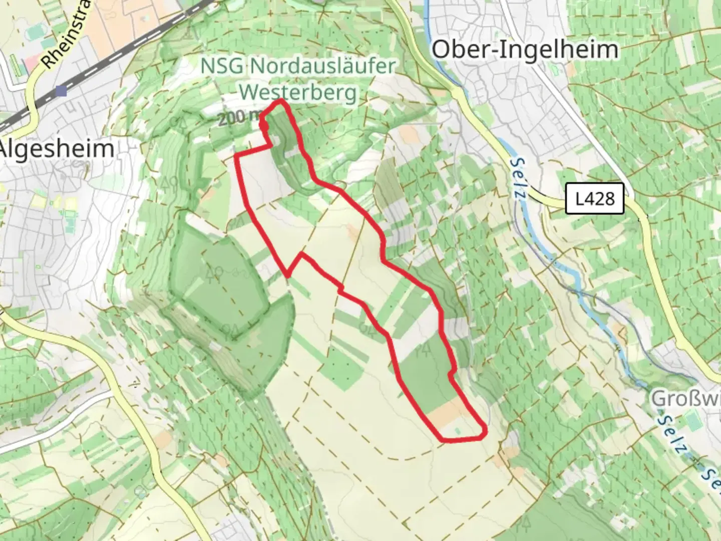 An image depicting the trail Ingelheim Rundweg Westerberg and its surrounding area.
