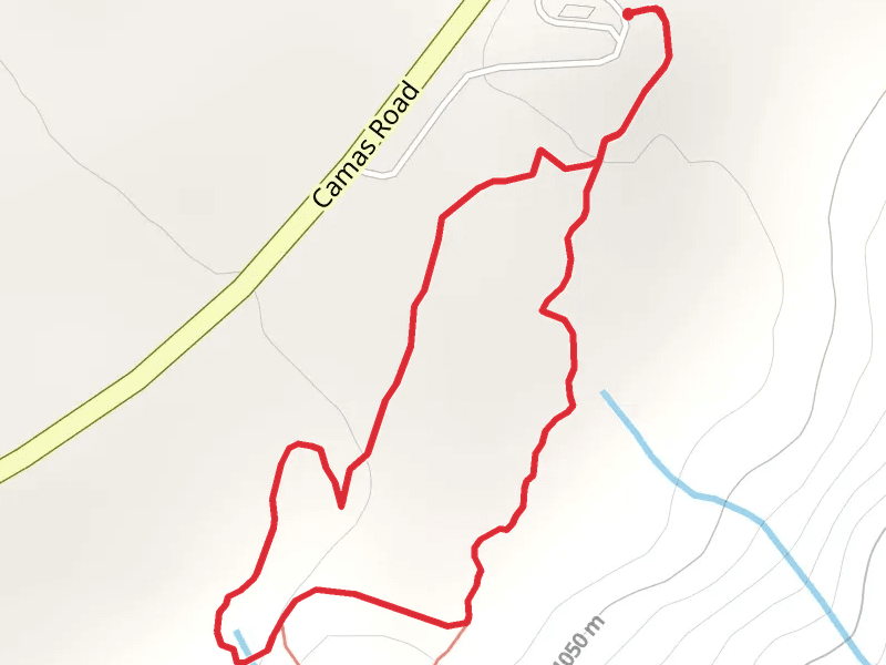 Huckleberry Mountain Interpretive Loop