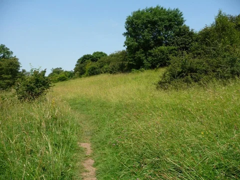 Bardsey and Pompocali Loop