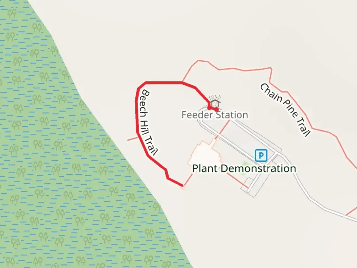 An image depicting the trail Beech Hill Trail and its surrounding area.