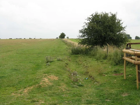An image depicting the trail Cleeve Hill Common ring and its surrounding area.