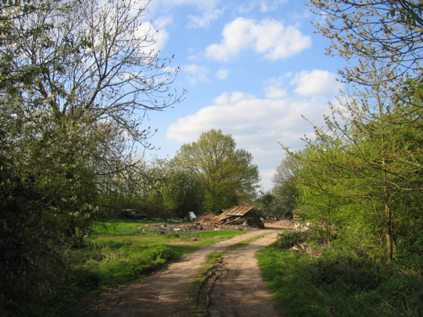 An image depicting the trail Sambourne Loop and its surrounding area.