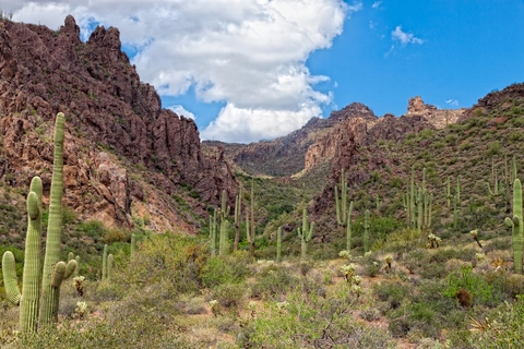 An image depicting the trail Bull Pass via Grand Enchantment Trail and its surrounding area.