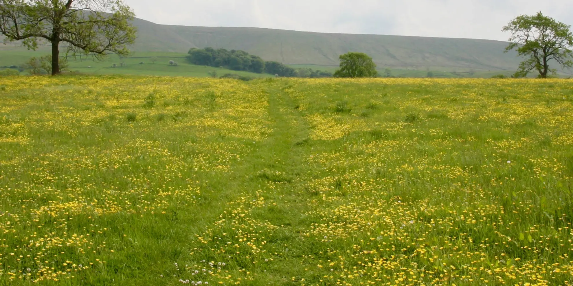 An image depicting the trail Pendle Hill from Downham and its surrounding area.
