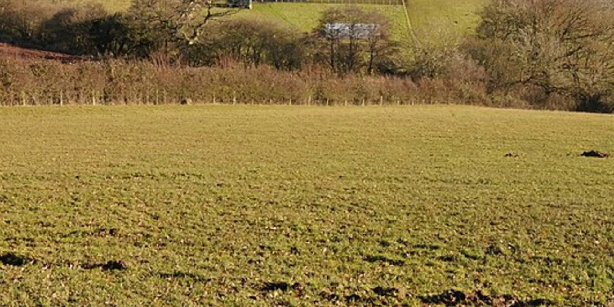 An image depicting the trail Garway Hill Common and Kentchurch and its surrounding area.