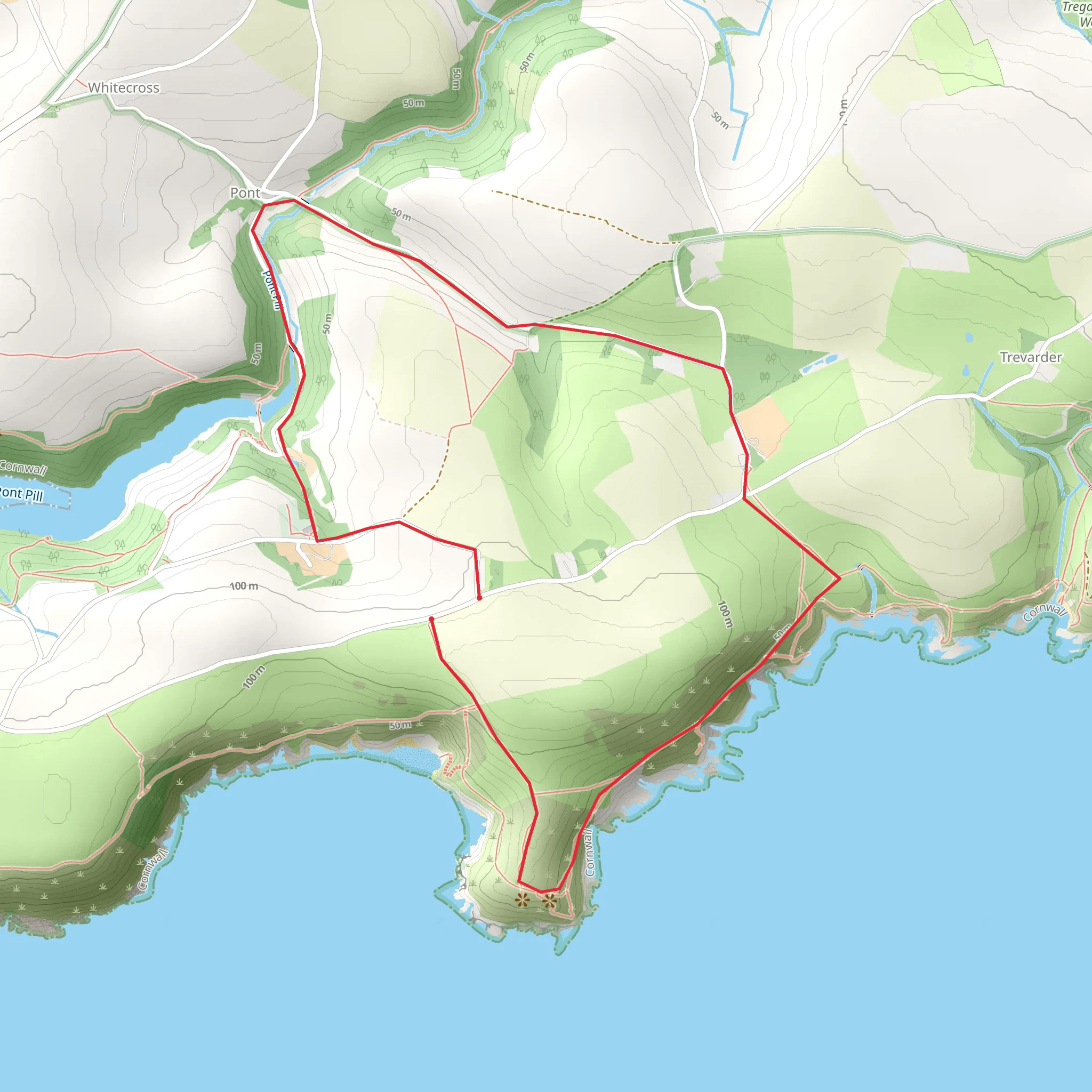 Pencarrow Head and Pont Pill Walk mobile static map