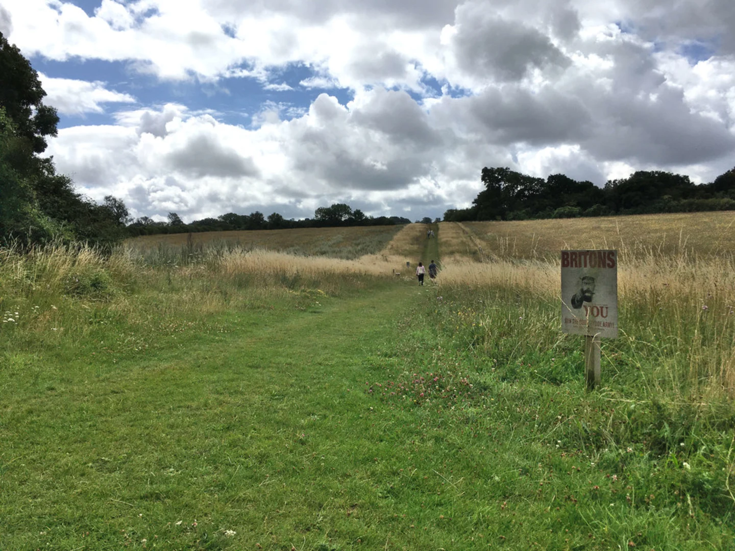 An image depicting the trail Langley Vale Centenary and Great Hurst Wood Loop and its surrounding area.