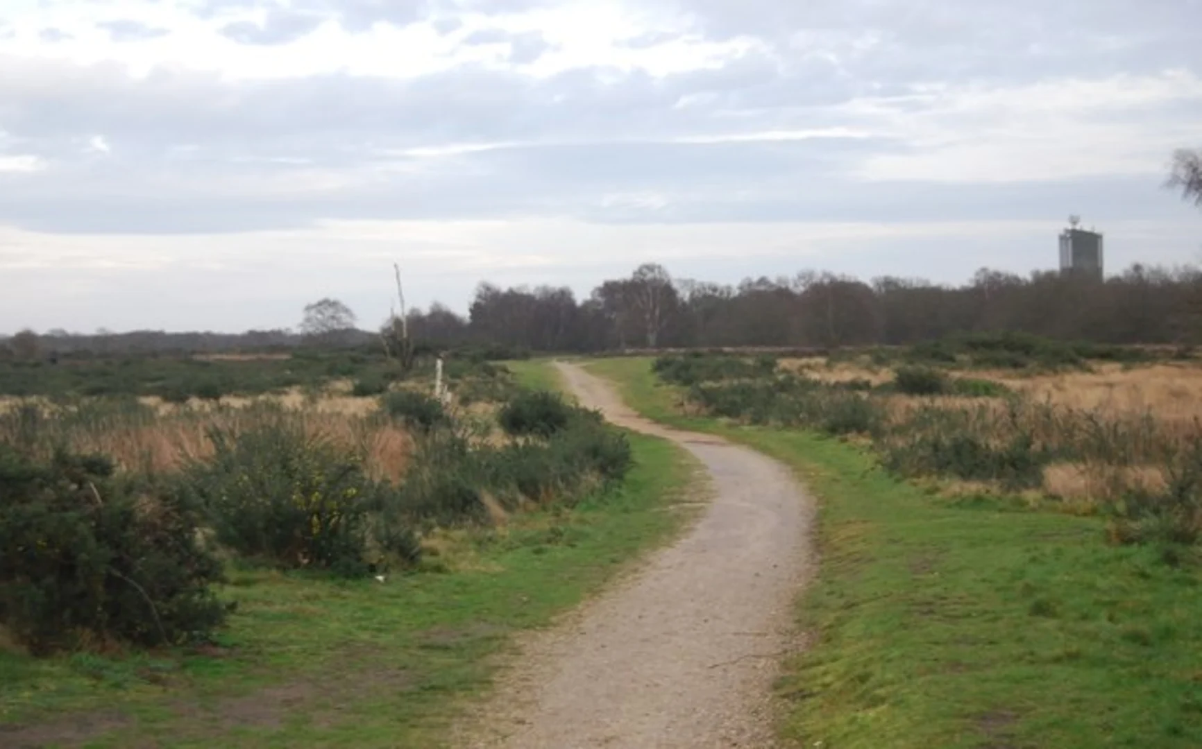 An image depicting the trail Heath Walk and its surrounding area.