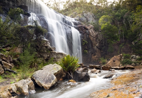 An image depicting the trail MacKenzie Falls Circuit Trail and its surrounding area.