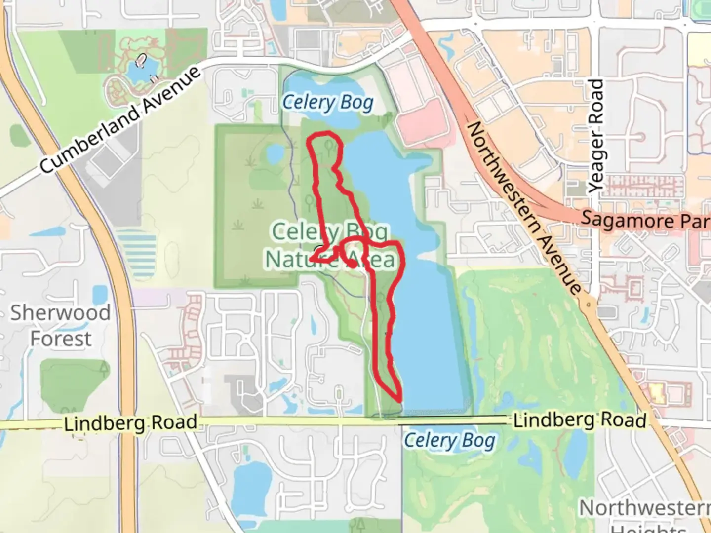 An image depicting the trail Celery Bog via Cattail Trail and its surrounding area.