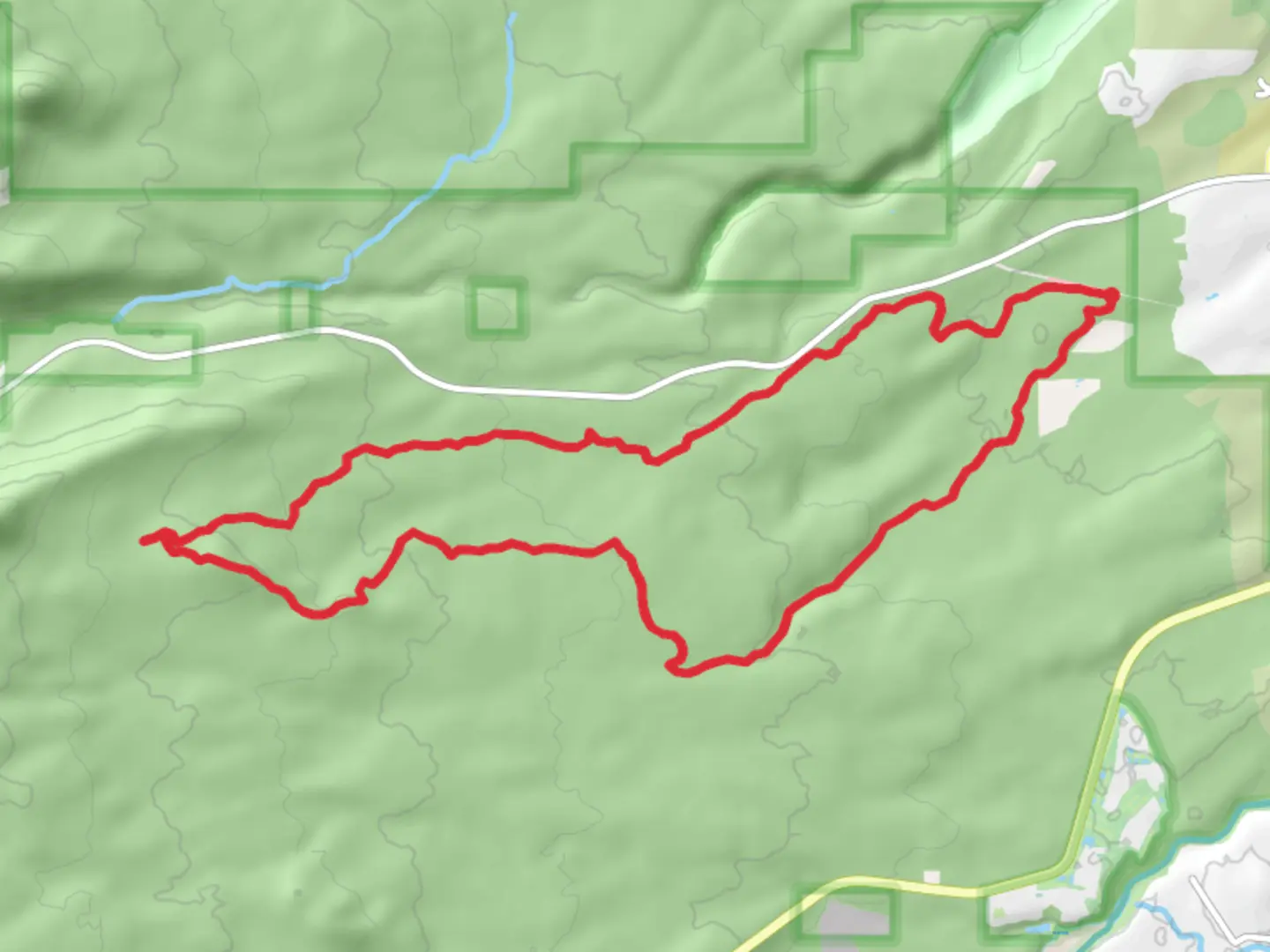 An image depicting the trail Ben's - Phil's Loop Trail and its surrounding area.