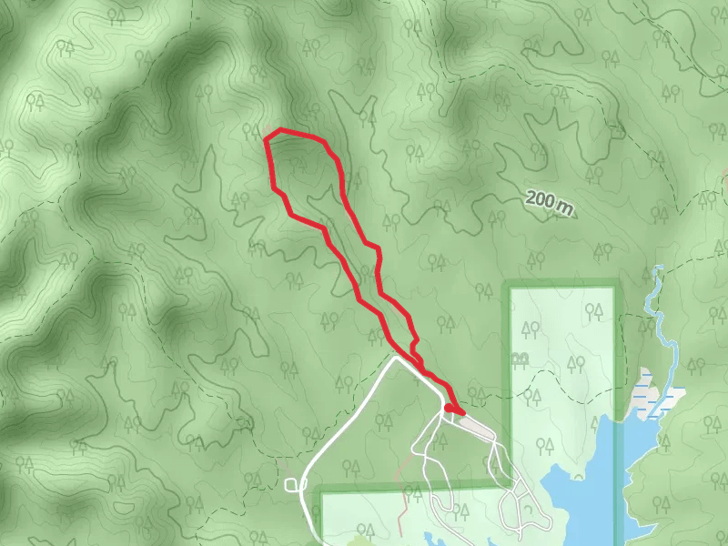 Lake View Loop Trail 4