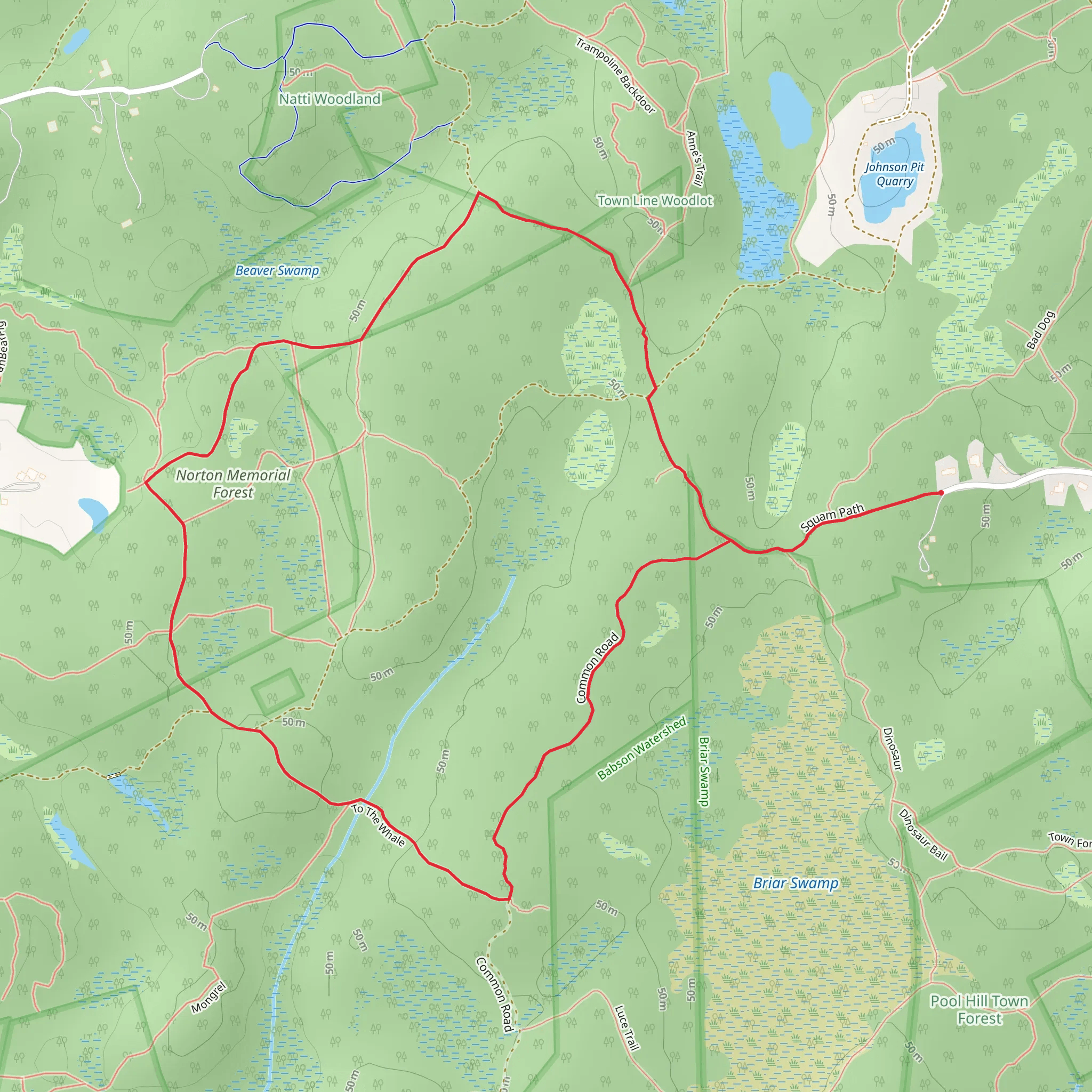 Dogtown Woods Loop mobile static map