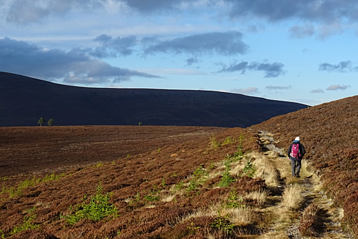 Tomintoul Trail - Old Military Road