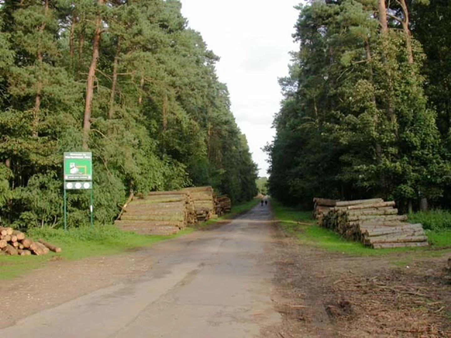An image depicting the trail Harlestone Firs Forest Walk and its surrounding area.