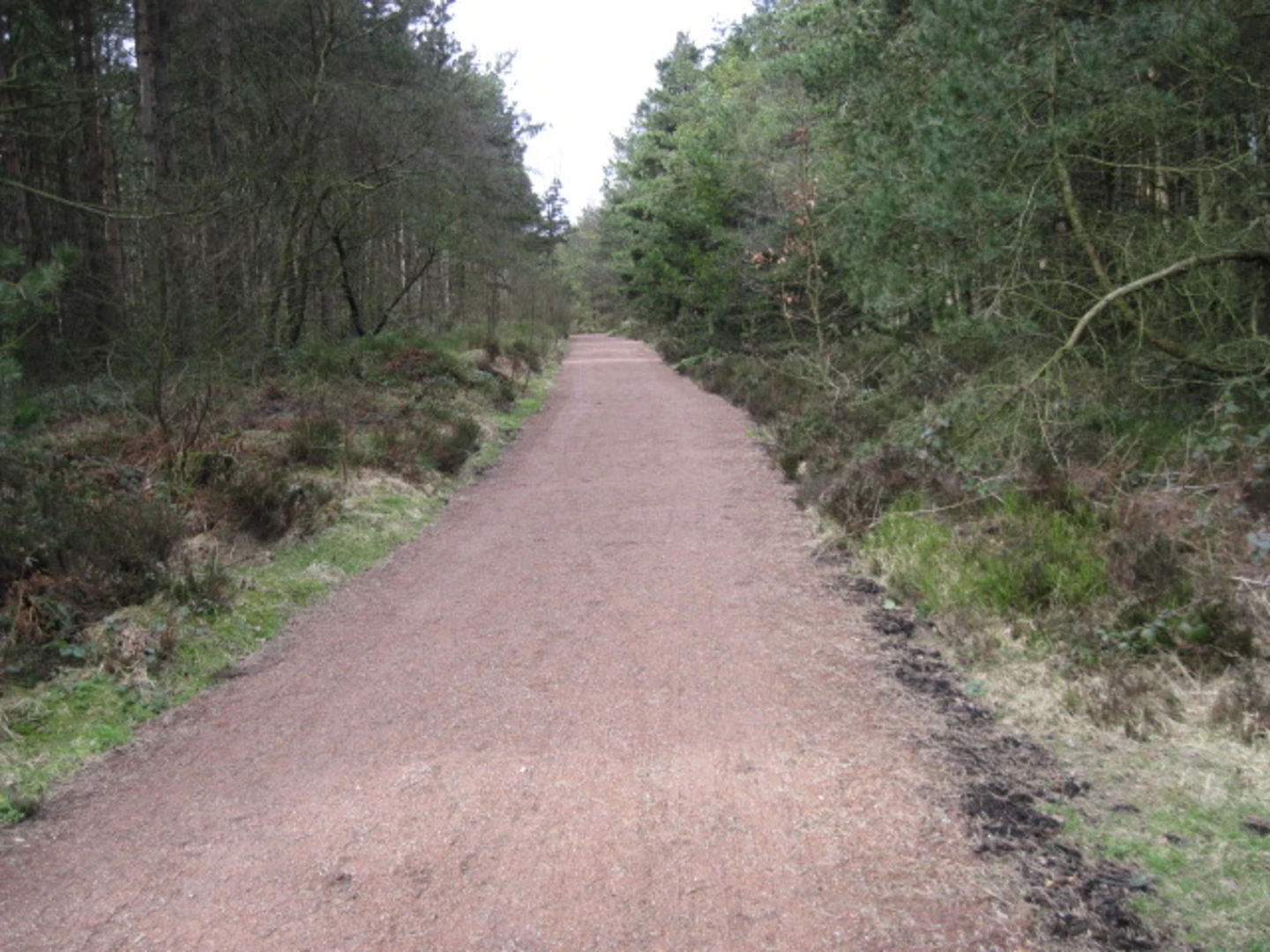 An image depicting the trail Lady Canning's Plantation Walk and its surrounding area.