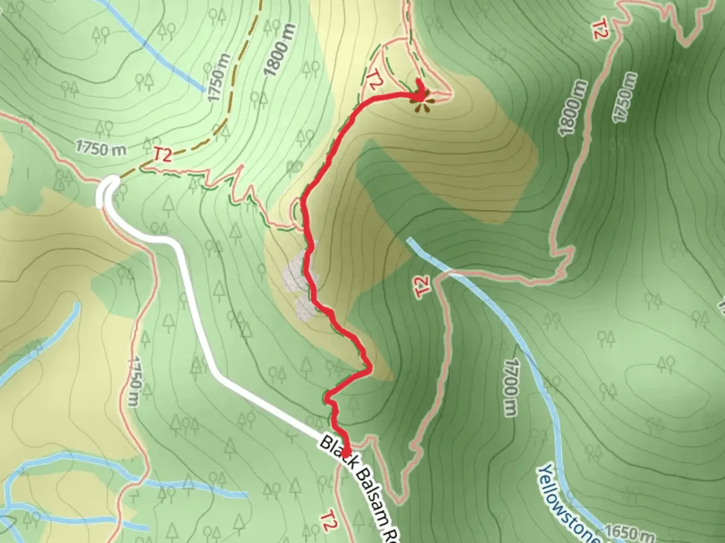 An image depicting the trail Black Balsam Knob Trail and its surrounding area.