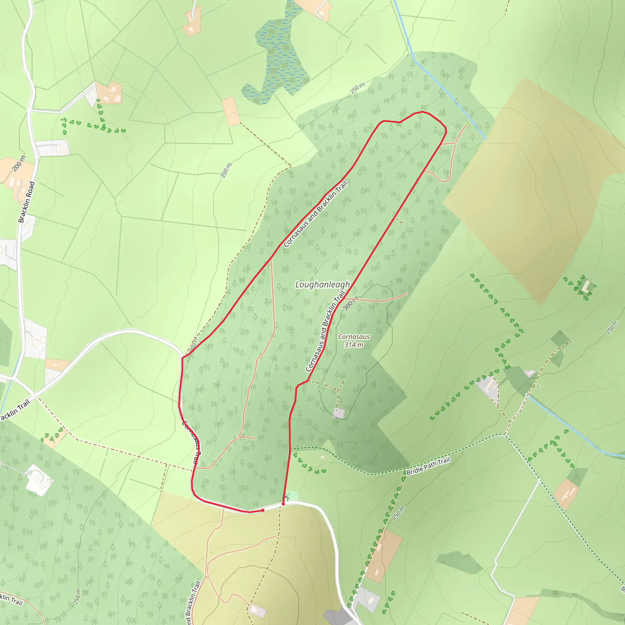 Cornasaus Loop Trail mobile static map