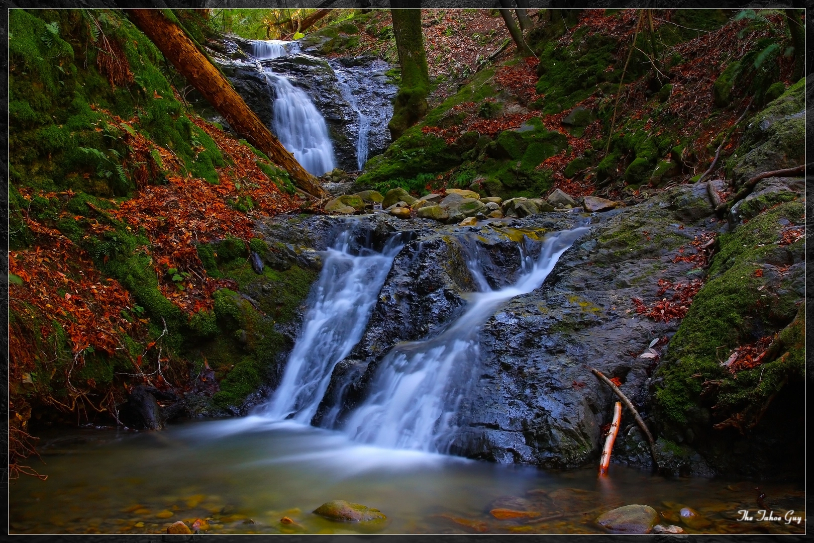 An image depicting the trail Swanson Creek, Waterfall Trail and Triple Falls Loop and its surrounding area.
