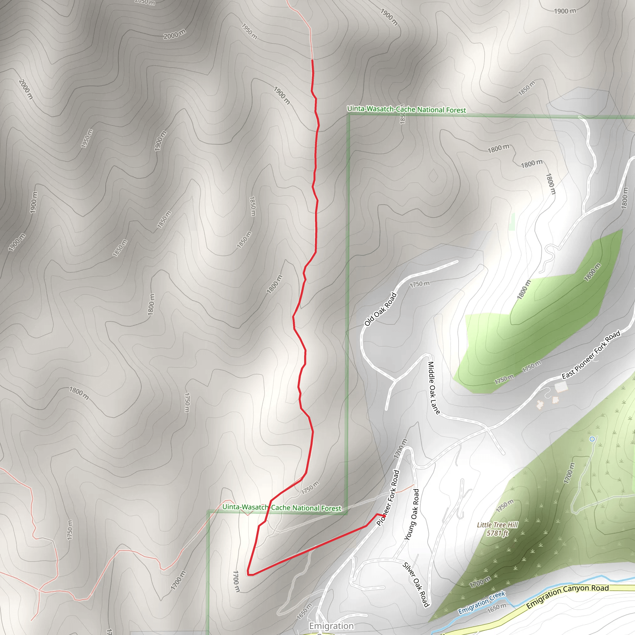 Pioneer Fork Road Walk mobile static map