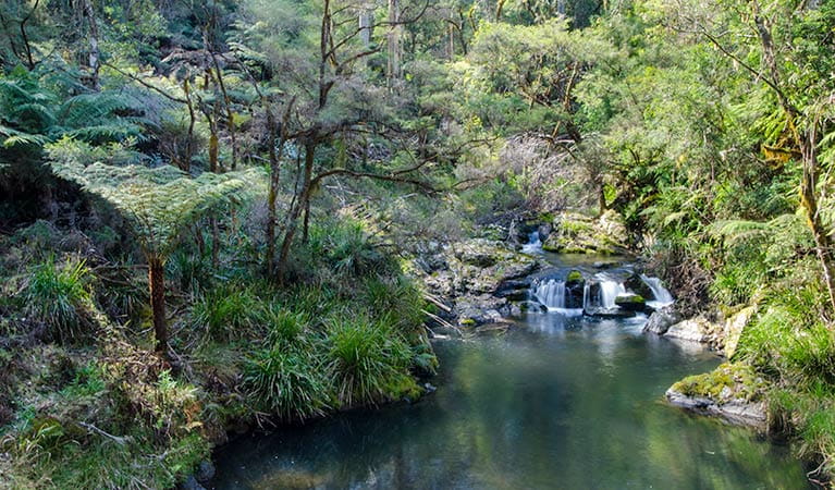 An image depicting the trail Cottan-Bimbang National Park and its surrounding area.