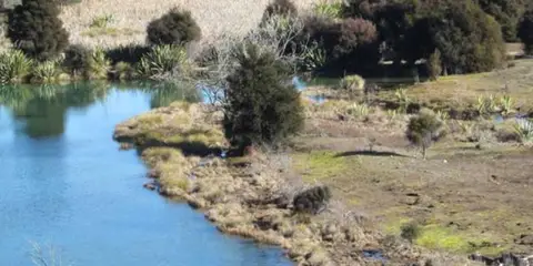 An image depicting the trail Butterfields Wetland Track and its surrounding area.