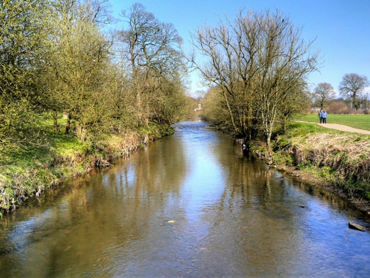 Warren Wood and Buncer Wood loop