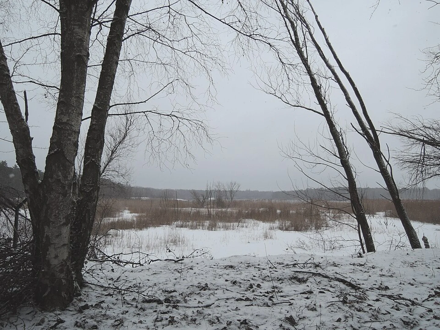 An image depicting the trail Flughafensee and Reiswerder Strand via Wanderweg 1 and 8 and its surrounding area.
