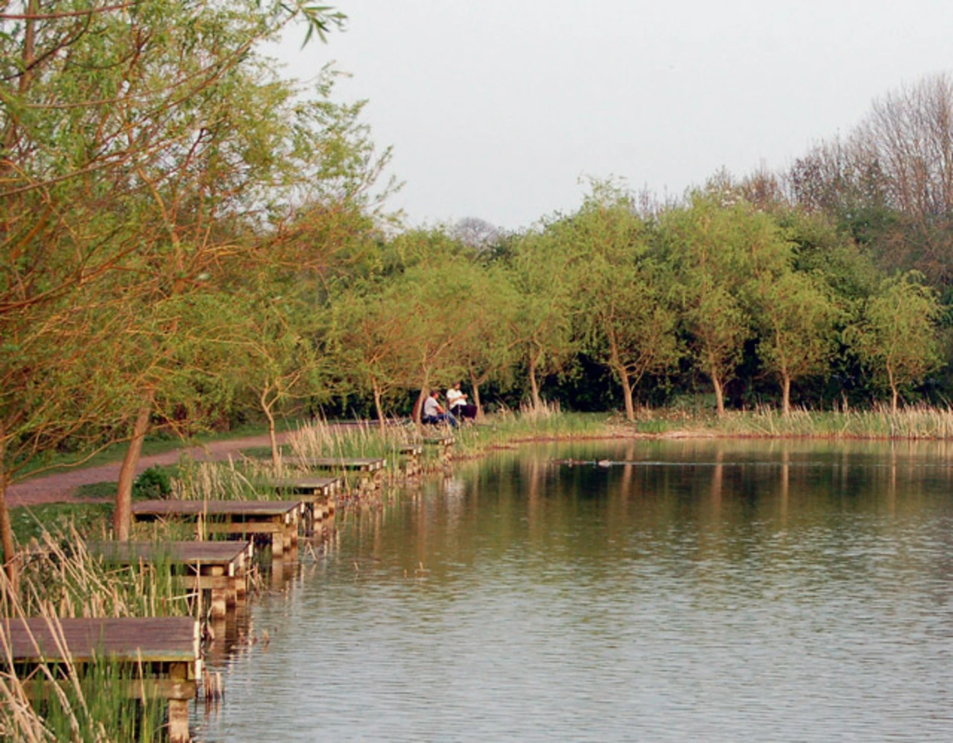 An image depicting the trail Stockton Reservoir and GUC Walk and its surrounding area.
