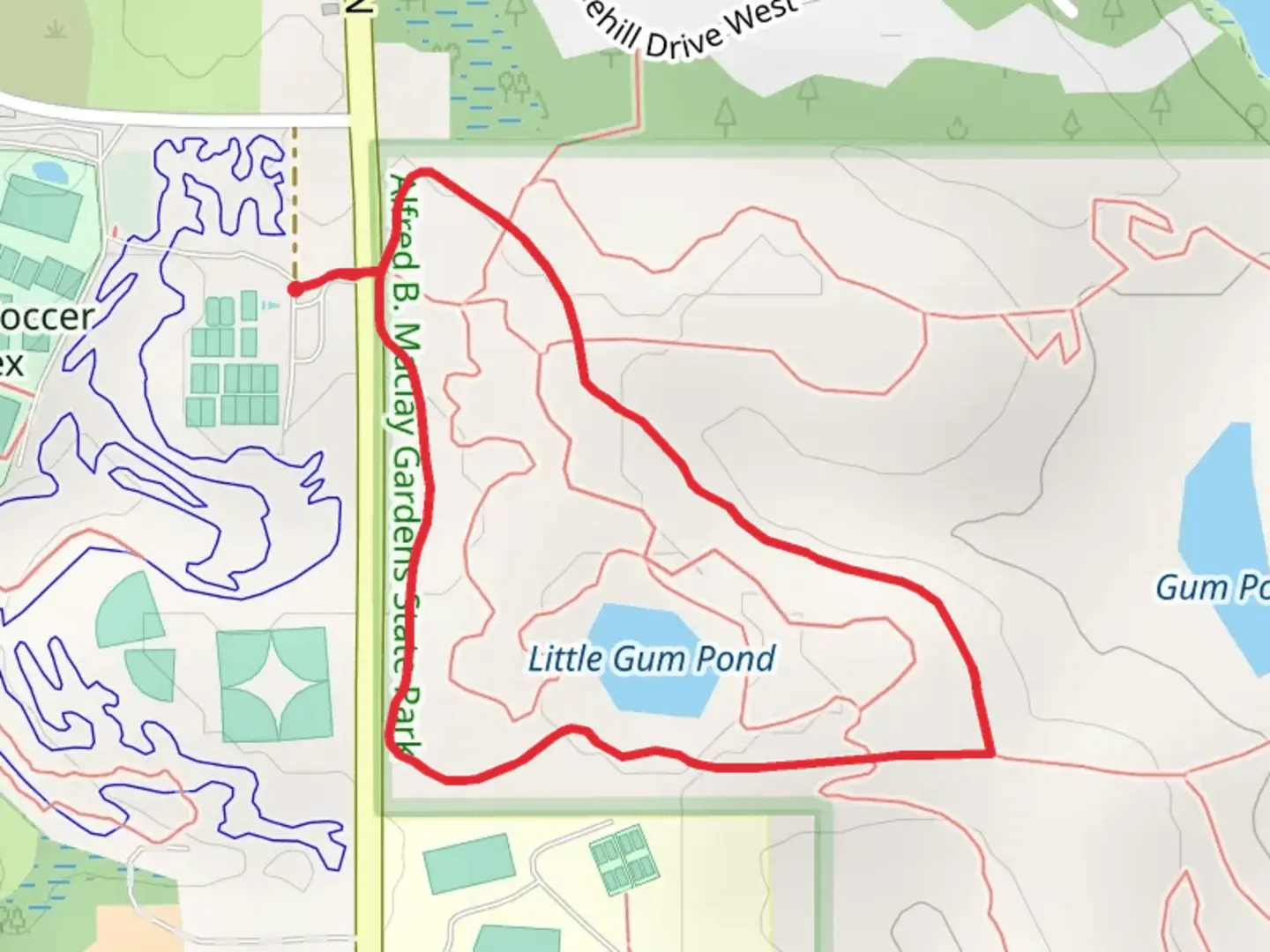An image depicting the trail Little Gum Pond - Ravine Loop Trail and its surrounding area.