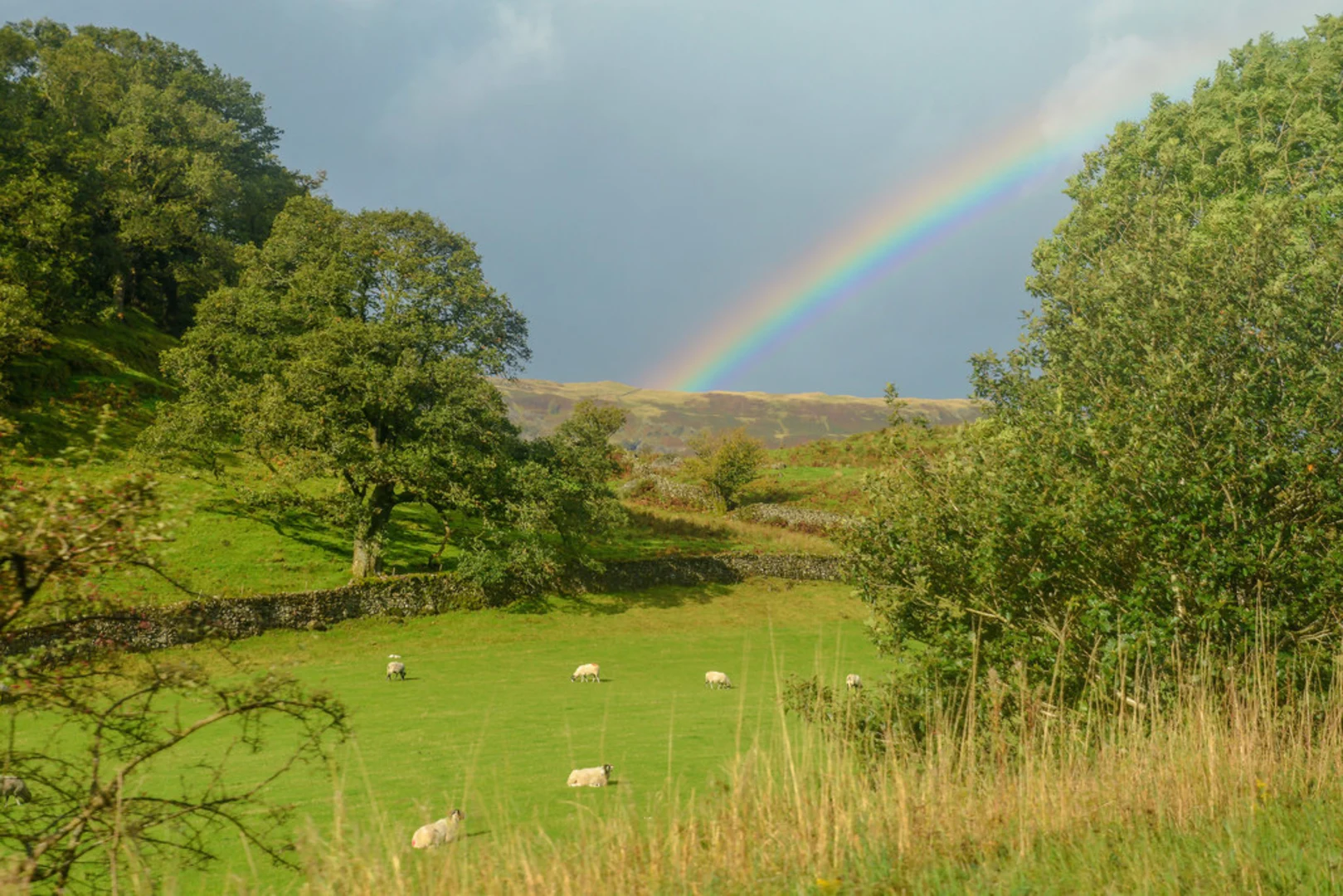 An image depicting the trail Thirlmere Loop from Legburthwaite and its surrounding area.