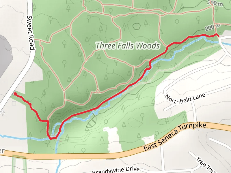 Sweet Road to Glencliffe Road Trail - Three Falls Woods