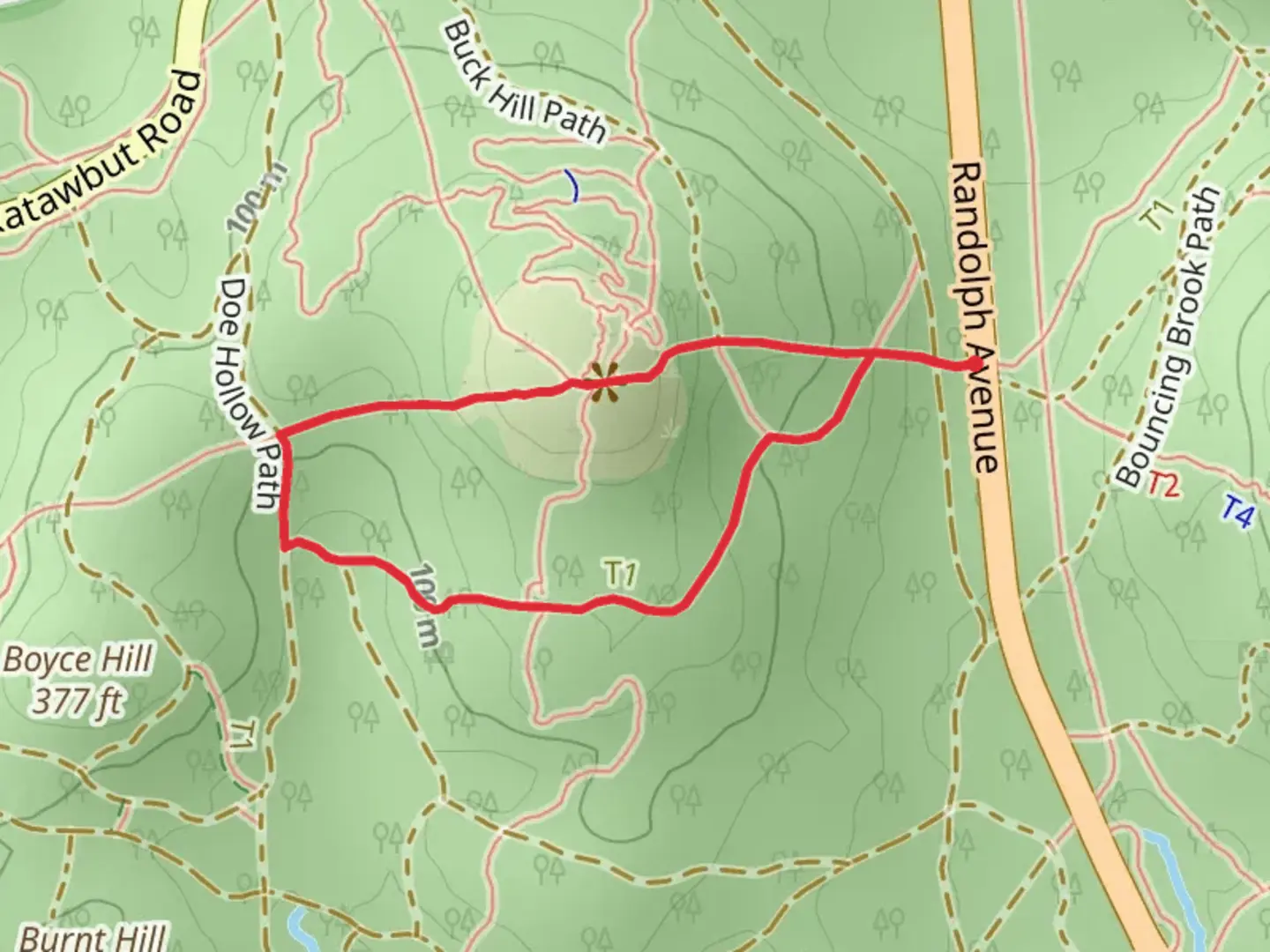 An image depicting the trail Buck Hill Loop via Skyline Trail and its surrounding area.