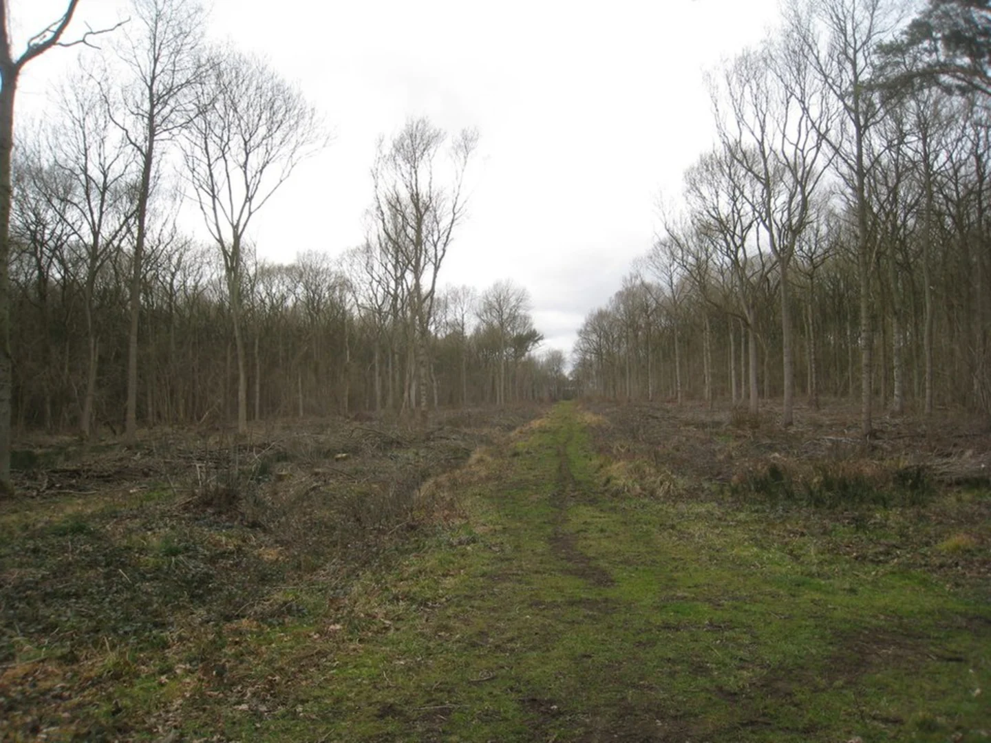An image depicting the trail Southrey Wood Loop - Bardney and its surrounding area.