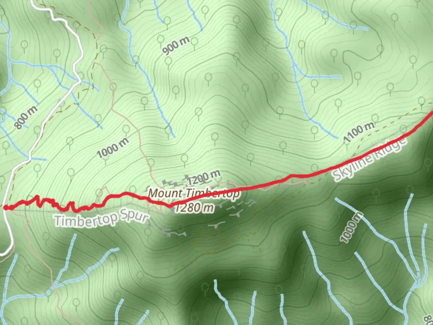 An image depicting the trail Timbertop Walking Track and its surrounding area.