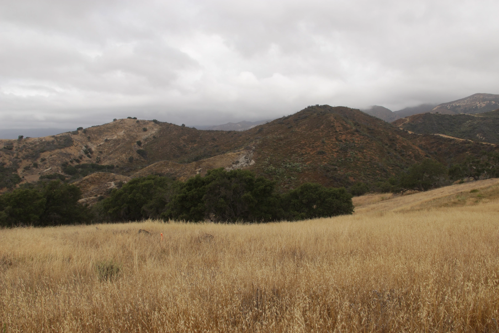 An image depicting the trail Bill Wallace Trail and its surrounding area.