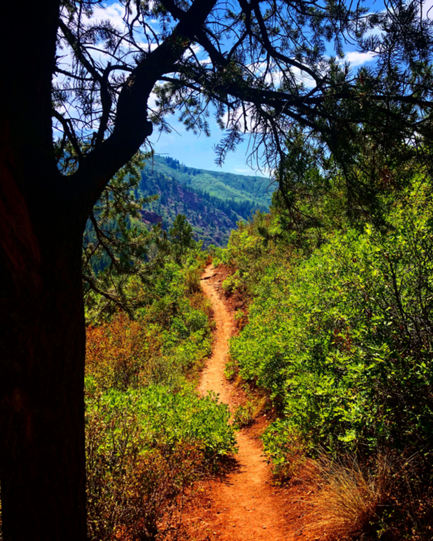 An image depicting the trail Perham Creek Trail and its surrounding area.