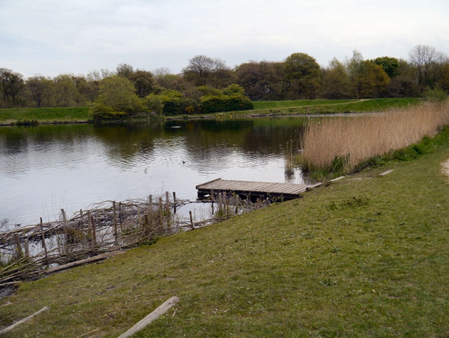 An image depicting the trail Blackleach Country Park Walk and its surrounding area.