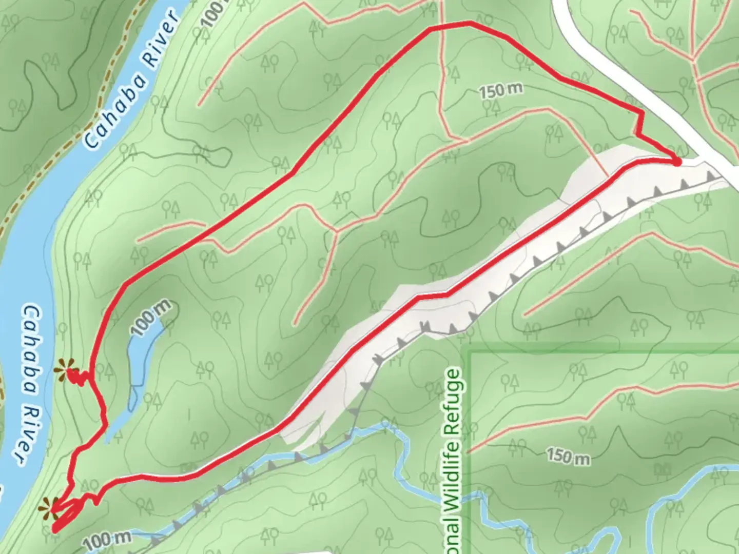 An image depicting the trail Cahaba River - Piper - Overlook Loop Trail and its surrounding area.