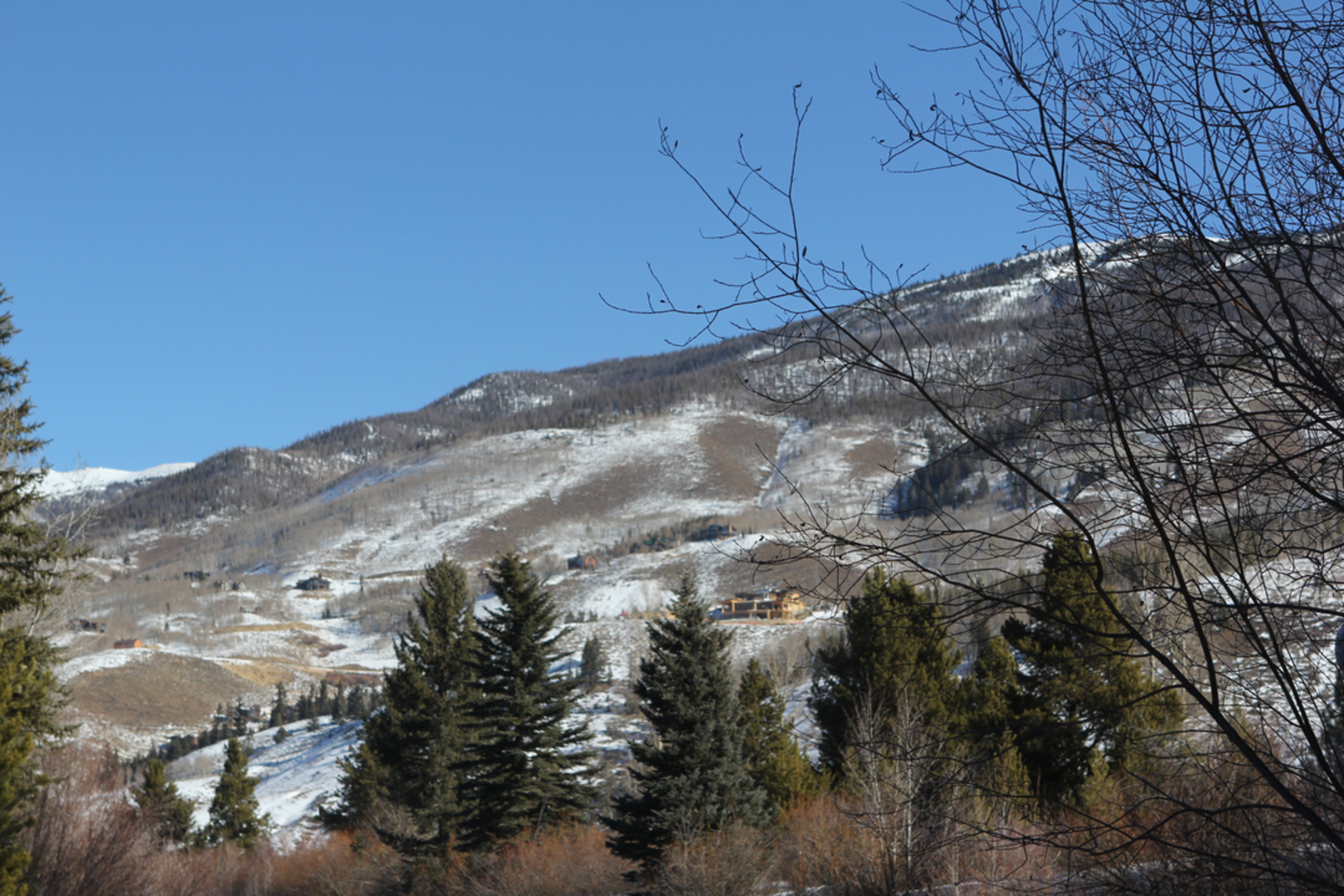 An image depicting the trail Ptarmigan Loop Trail and its surrounding area.