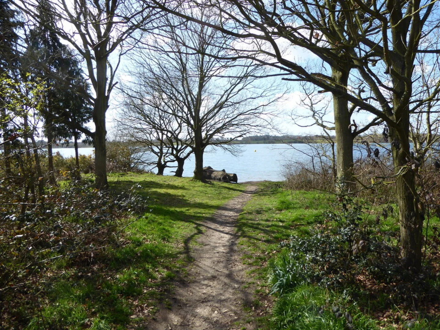 An image depicting the trail Alton Water Loop and its surrounding area.
