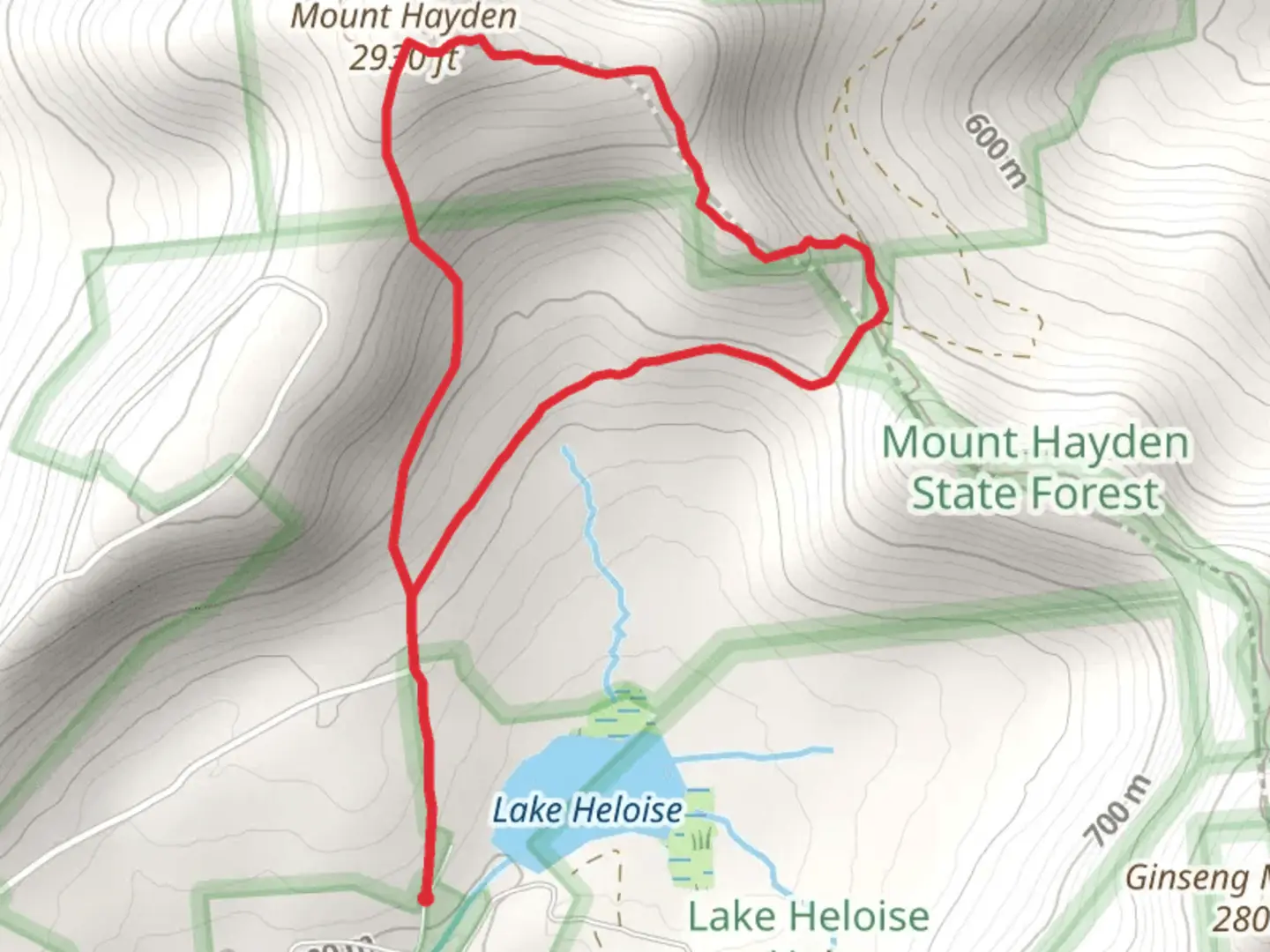 An image depicting the trail Mount Hayden Loop and its surrounding area.