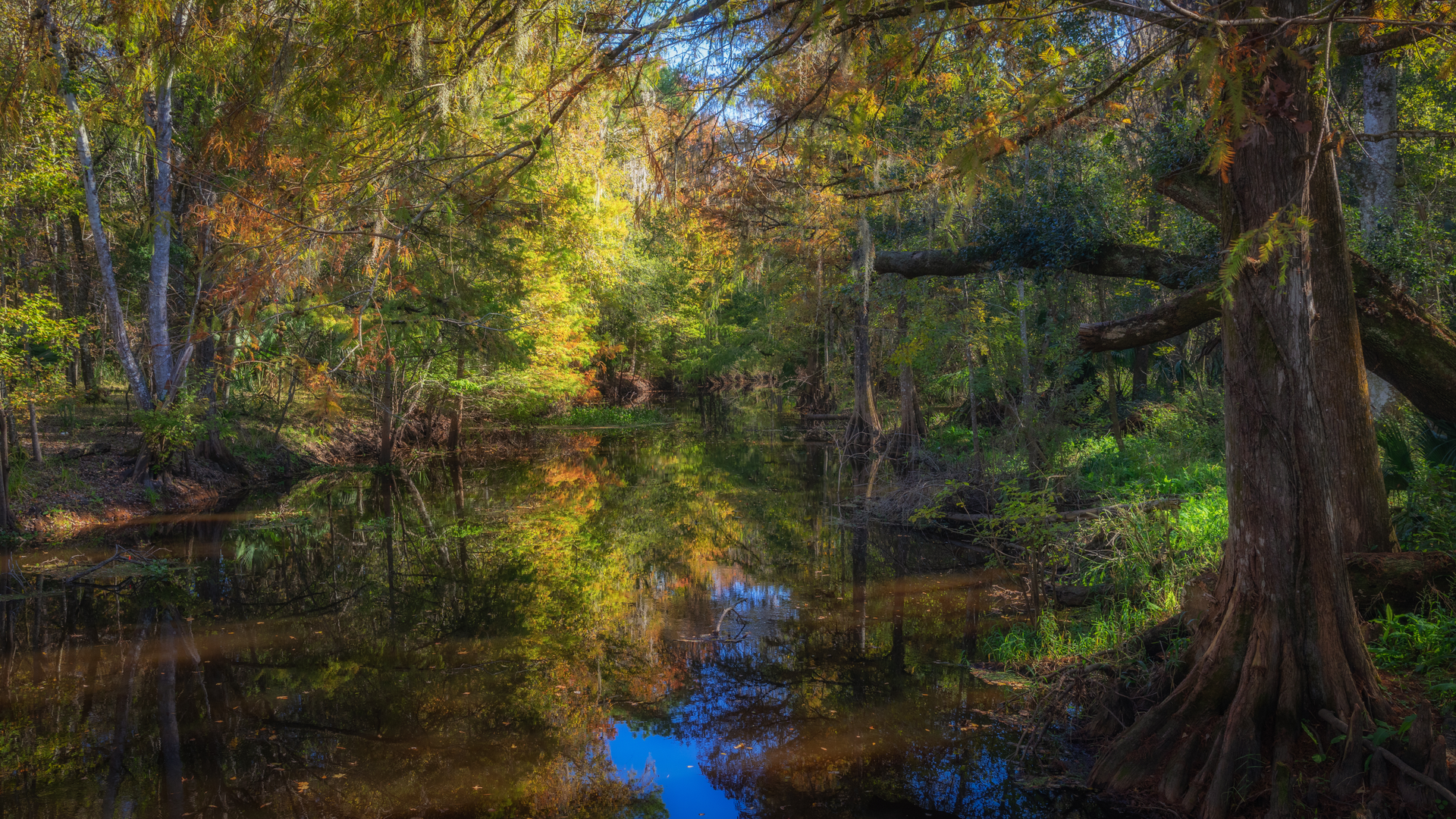 An image depicting the trail Florida National Scenic Trail - Eglin East and its surrounding area.