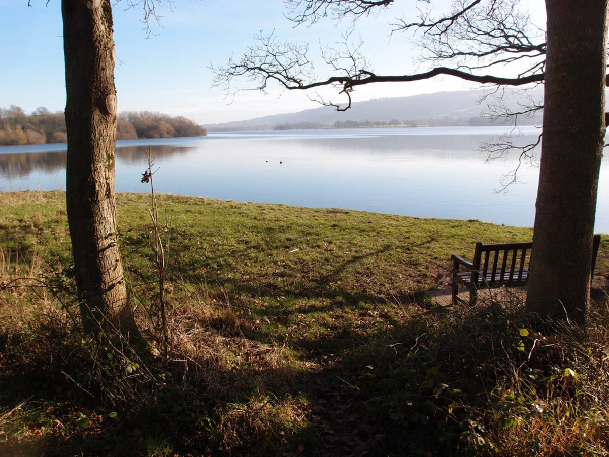 Blagdon Lake Circular Walk