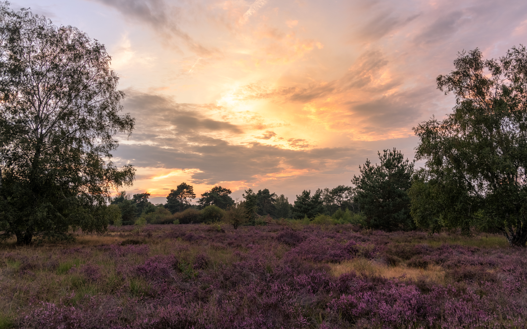 An image depicting the trail Grenswater and Gemeente Venlo Loop and its surrounding area.
