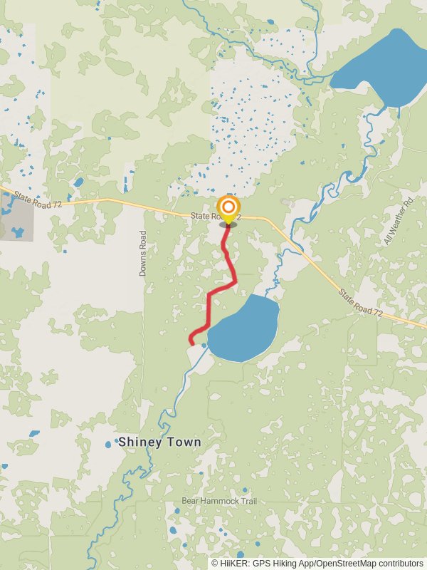 Myakka River from Lower Lake Court