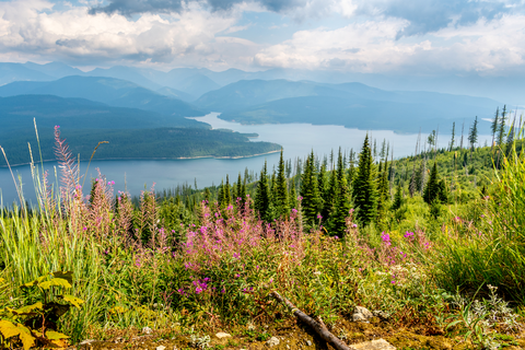 An image depicting the trail Logan - Dirtyface Trail and its surrounding area.