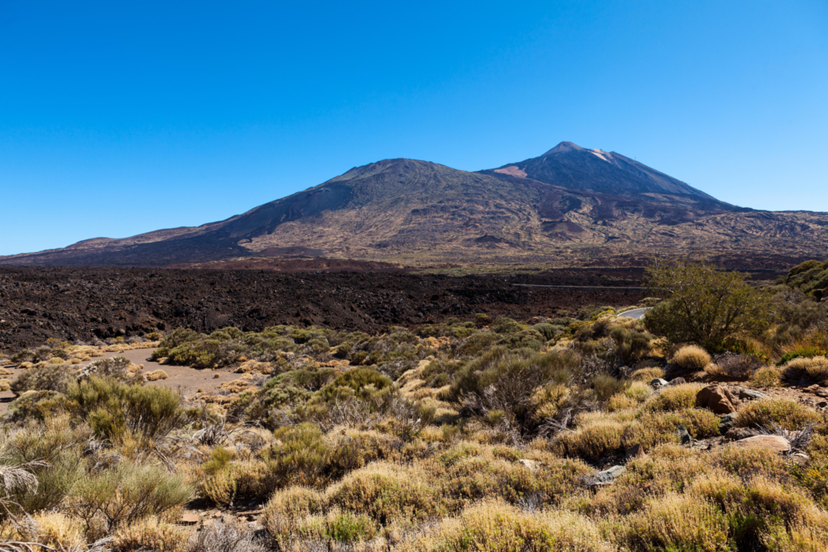 An image depicting the trail El Jaral - Guía de Isora SL TF 206 and its surrounding area.